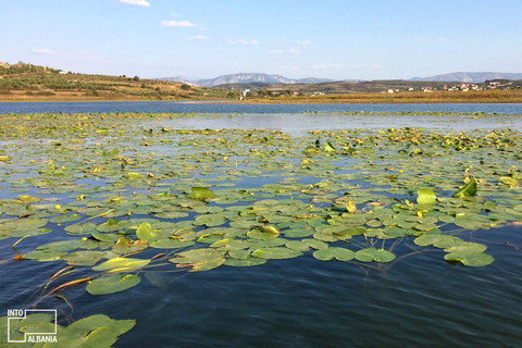 Découvrez Berat et le lac Belshi : Une journée d&#039;excursion pittoresque au départ de Tirana