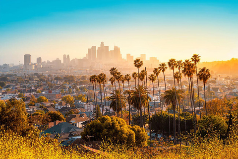 Los Angeles: Hollywood and Beverly Hills Open-Air Bus Tour