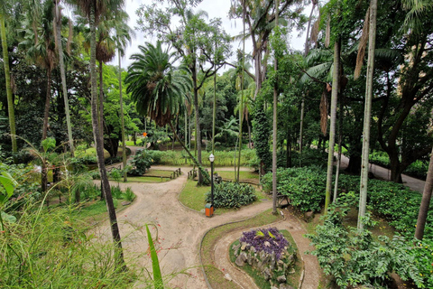 Pinacoteca de São Paulo & Resistance Memorial Private Tour 2-hour: Pinacoteca de São Paulo Tour