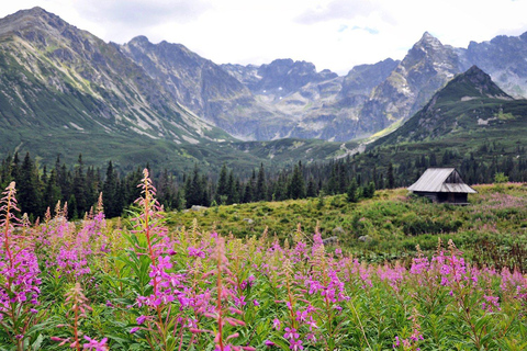 كراكوف: جولة زاكوباني ومورسكي أوكو وتذوق الجبن