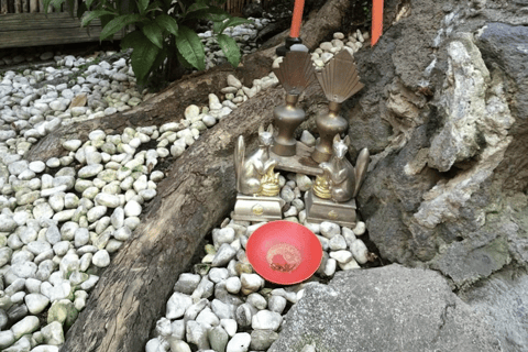 Tóquio: Excursão a pé pela comida, cultura e história de Ningyocho