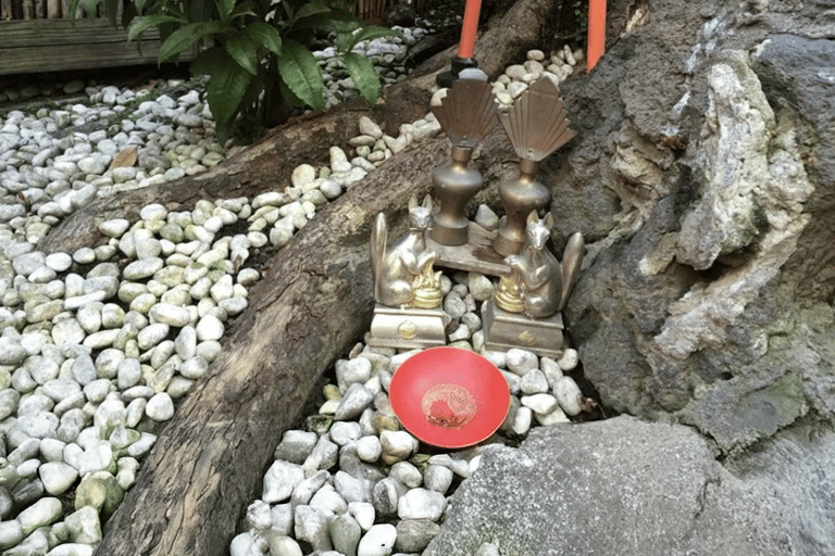 Tóquio: Excursão a pé pela comida, cultura e história de Ningyocho