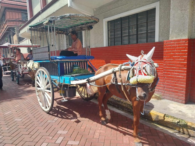 Manila: Intramuros and Chinatown Food Tour with Tuktuk Ride