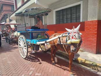 Manila: Intramuros and Chinatown Food Tour with Food Samples