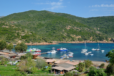 Calvi: tour en barco de 6 horas por Scandola y Girolata