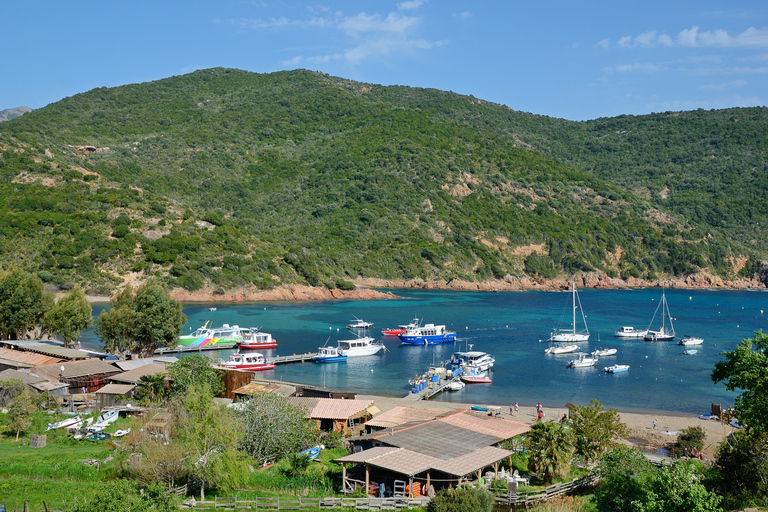 Calvi: passeio de barco de 6 horas em Scandola e Girolata