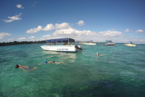 Mauritius: Privétour noordelijke hoogtepunten met zwemmen in een schildpad