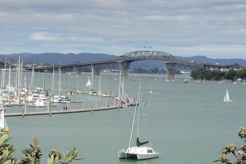 Excursão de meio dia pelos destaques da cidade de Auckland