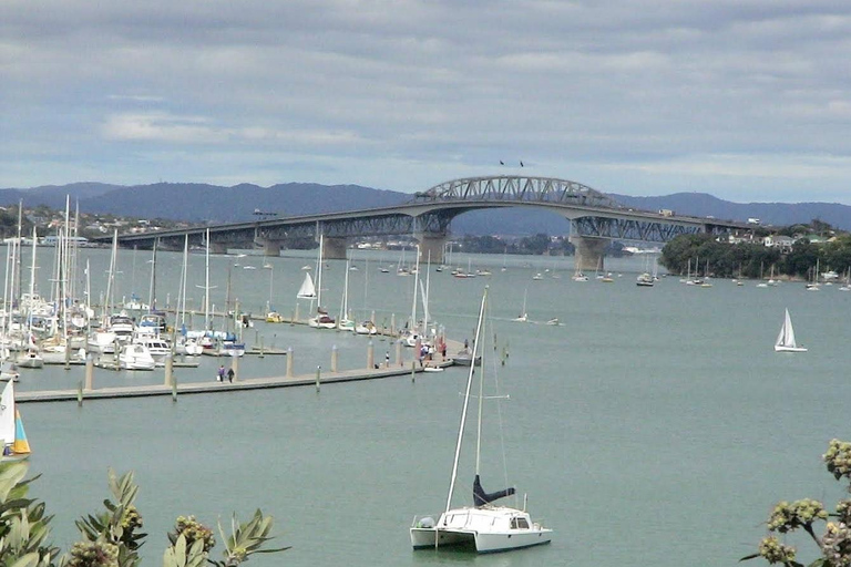 Auckland City Hidden Gem Half Day Tour