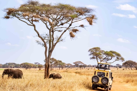 6-dniowa kultura Tanzanii i safari z MoshiZ Arushy