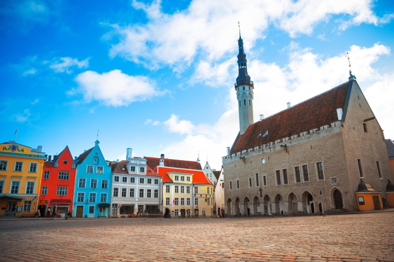 Tallinn : Promenade express avec un habitant en 60 minutes