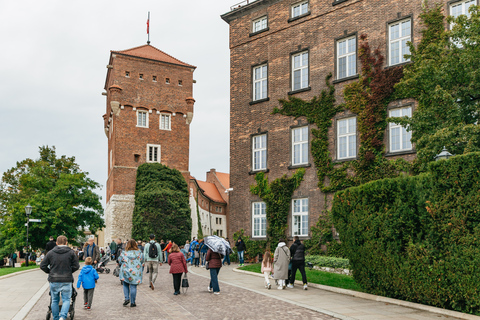 Krakow: Wawel Royal Hill Guided Tour Tour in Polish - Shared