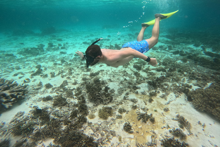 From Labuan Bajo: Komodo National Park 3-Day Liveaboard
