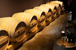 Poggioreale : dégustation de vins bio et visite de la cave