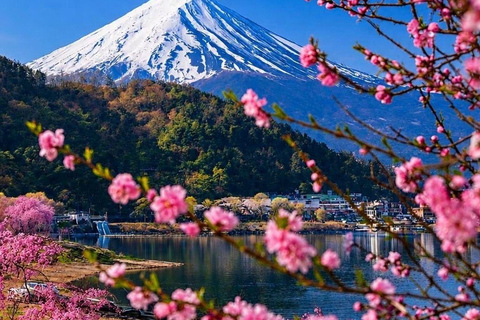 Tokyo: Mount Fuji & Pagoda & Oshino Hakkai & Lake Kawaguchi Route B : Mount Fuji & Hakone Private Customizable Day Trip