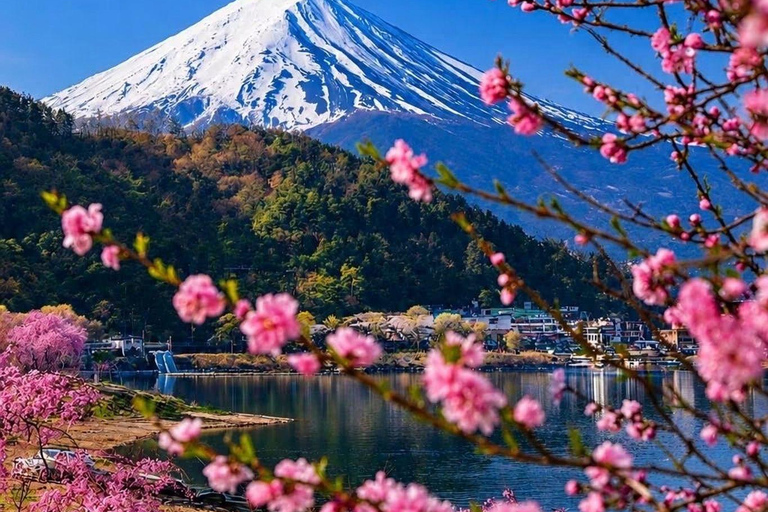 Tokyo: Mount Fuji & Pagoda & Oshino Hakkai & Lake Kawaguchi Route B : Mount Fuji & Hakone Private Customizable Day Trip