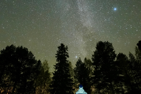 罗瓦涅米：保证能看到北极光，含照片和视频罗瓦涅米：保证能看到极光的狩猎之旅（含照片和视频）