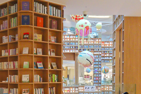 Suwon: Hwaseong, Starfield Library, and Hangnidan-gil Tour