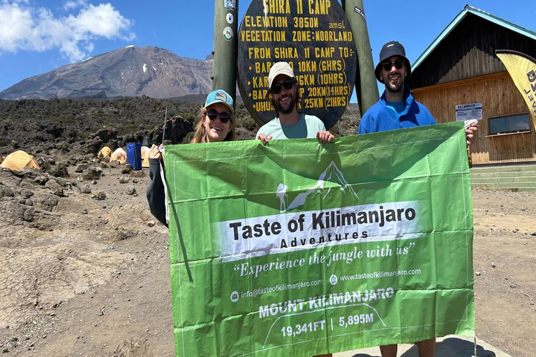 Randonnée d'une journée au Mont Kilimandjaro