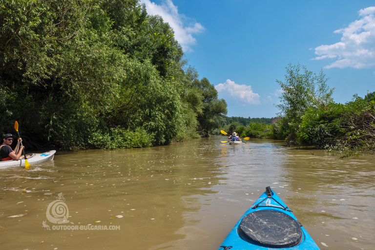 Varna: Kamchia River Kayaking Day Tour