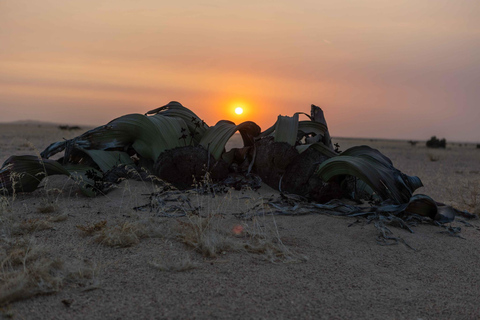 Swakopmund Sunset Magic – Desert Glow, Ocean Dreams