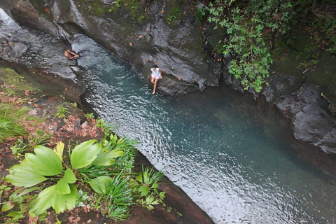 4x4 Land Rover day trip with Fanm Sosyal Kréyol in Guadeloupe Half-Day