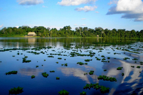 Vanuit Iquitos: Pacaya Samiria - 3-daagse jungletocht door het Amazonegebied