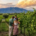 Franciacorta: visita e degustazione in cantina familiare a Corte Franca