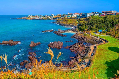 Jeju: Customized Private Car Charter for Your Own Tour