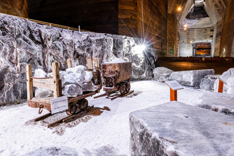 From Bucharest : Dracula's Tomb & Slanic Prahova Salt Mine Entrance Tickets included