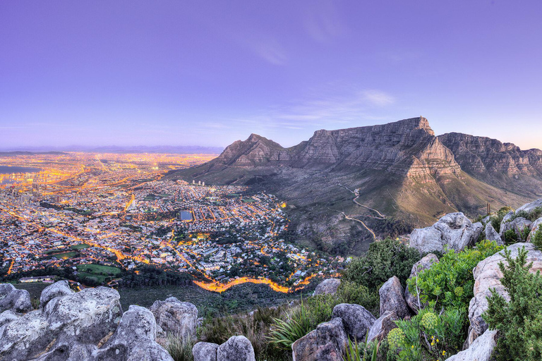 Private Tour: Table Mountain, Penguins Colony & Cape Of Good