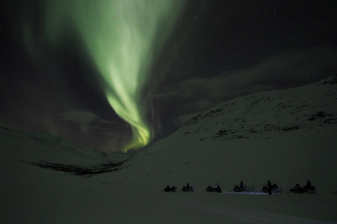 Z Tromsø: Wieczorna wycieczka na skuterach śnieżnych w Camp Tamok