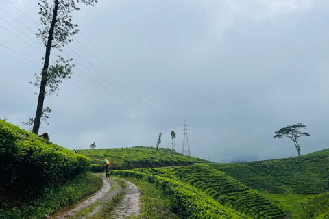 Pekoe Trail 6-9: Guided 6 Day Trail with Hotels & Transfers