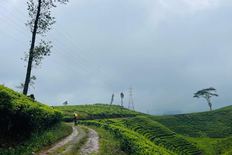 Pekoe Trail 6-9: Guided 6 Day Trail with Hotels & Transfers