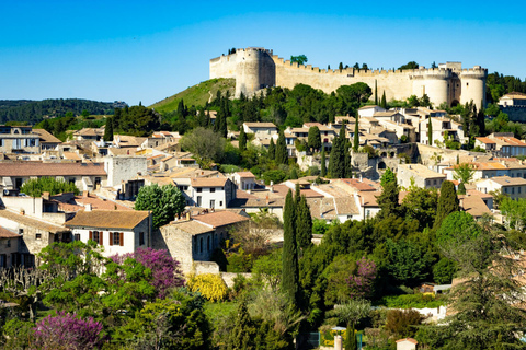 Avignon & Villeneuve-lès-Avignon: Guided Tour in a Tesla