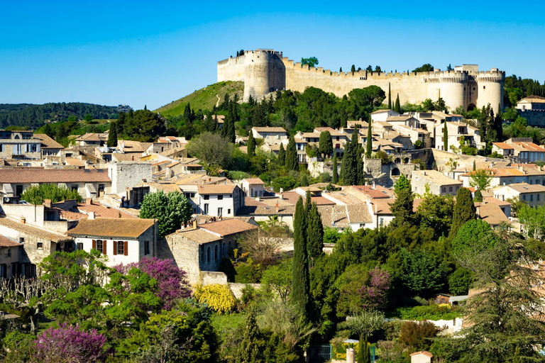 Avignon & Villeneuve-lès-Avignon: Guided Tour in a Tesla