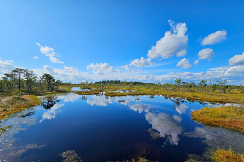 Ķemeri Bogs Adventure: Explore Wetlands In Bog Shoes