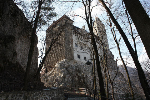 Tour privado: salida Bucarest a Castillo Peles, Bran y Parte Vieja Brasov