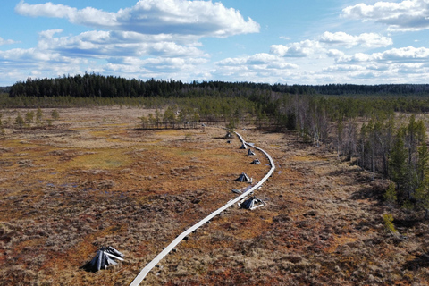 Helsinki: Full-Day Hike in Torronsuo’s Wild Bog