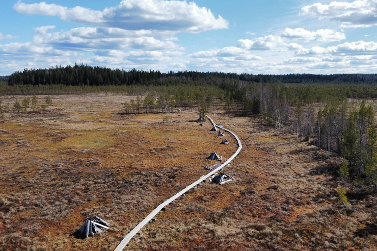 Helsinki: Full-Day Hike in Torronsuo’s Wild Bog