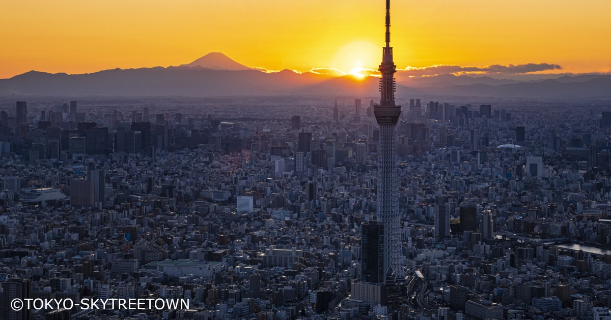 Tokyo: 1 Day Bus Tour With Meiji-jingu,odaiba,lunch&skytree 