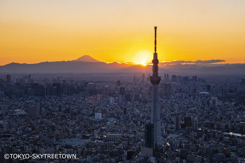 Tokio: 1 Tag Bustour mit MittagessenTokio Abreise