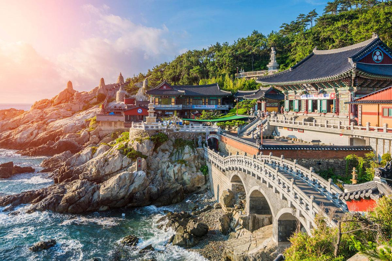 South Korea Highlights Tour: Seoul + Busan 2 Days Tour Plan South Korea Busan highlights Tour