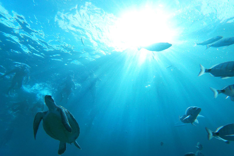 Tenerife: Tour guiado en Kayak