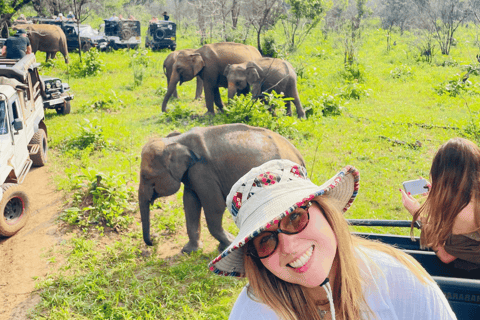 Sigiriya: Minneriya National Park Elephant Eco Jeep Safari From Sigiriya: Kaudulla National Park Jeep Safari