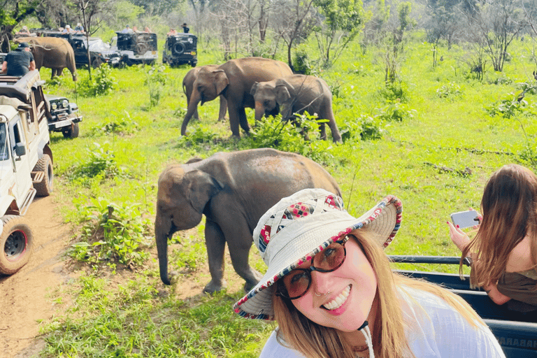 Sigiriya: Minneriya National Park Elephant Eco Jeep Safari From Sigiriya: Kaudulla National Park Jeep Safari