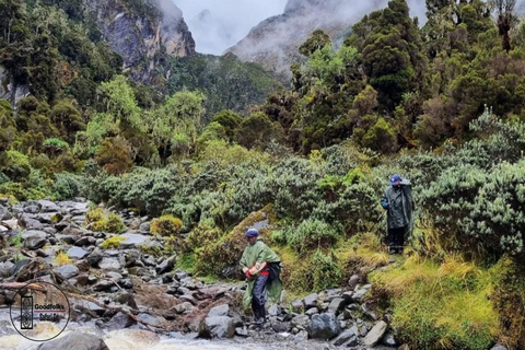 OUGANDA RWENZORI - WATERFALLS &amp; MONTANE ALLURE | Randonnée de 6 jours