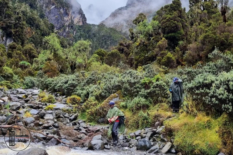 UGANDA RWENZORI — WATERFALLS & MONTANE ALLURE | 6-Day Hike