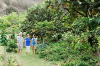 Kauai, McBryde Garden Self Guided Visit - Housity