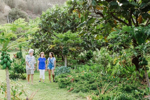 Kauai : Carte journalière pour le jardin McBrydeMcBryde Garden: carte journalière